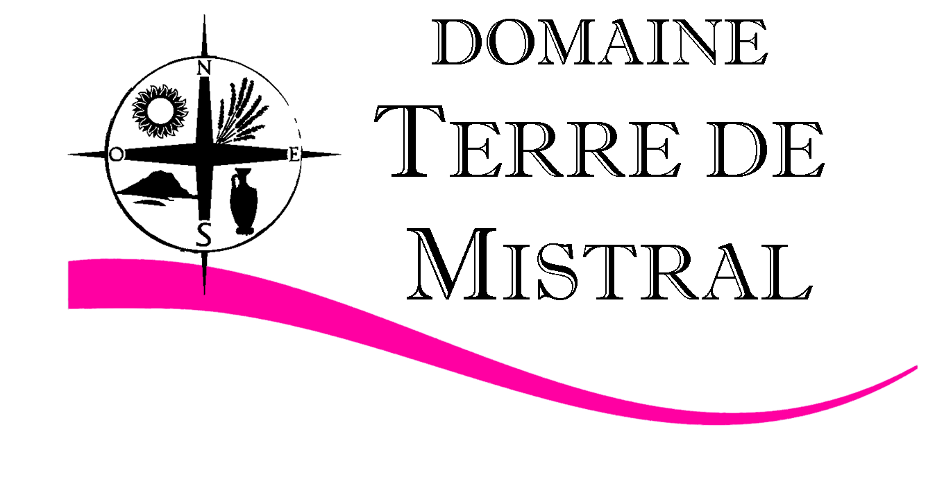 Logo 4